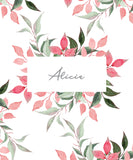 Spring Frame