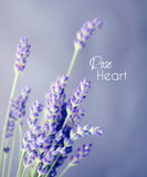 Blue Bells