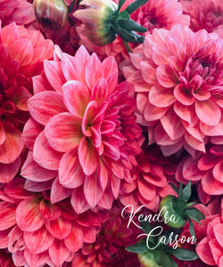 Summer Time Pink