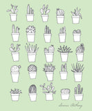 Cacti Minis - Notebook