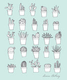Cacti Minis - Notebook